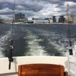 Fishing in Oslo Fjord - Who Should Consider This Tour?