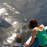 Fishing, Snorkelling & Dolphin Boat Tour - Authentic Feedback from Travelers