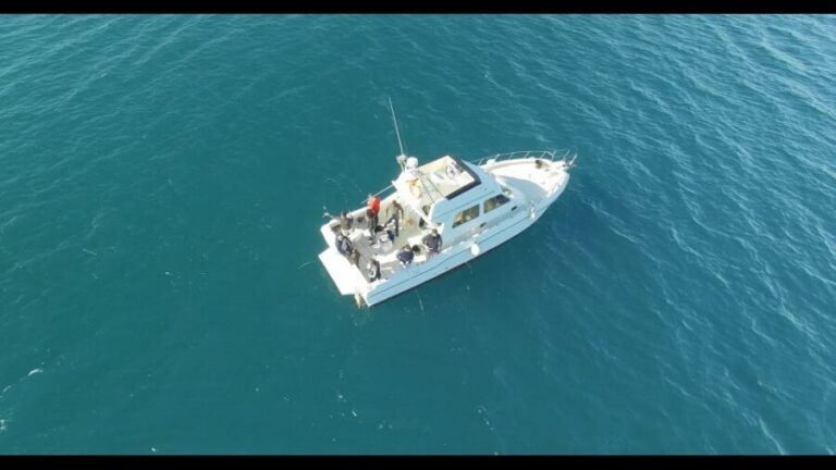 Fishing Trip all included - The Guided Experience: Expertise Makes a Difference