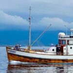 Fishing trip from Henningsvær + free (self caught) fish soup - The Fish Soup: A Taste of Norway