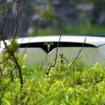 Fjord Sightseeing - Eco friendly Tesla Model X - Final Thoughts