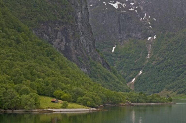 Fjords: Private Trip with Train and Cruise Ride - Transportation and Comfort