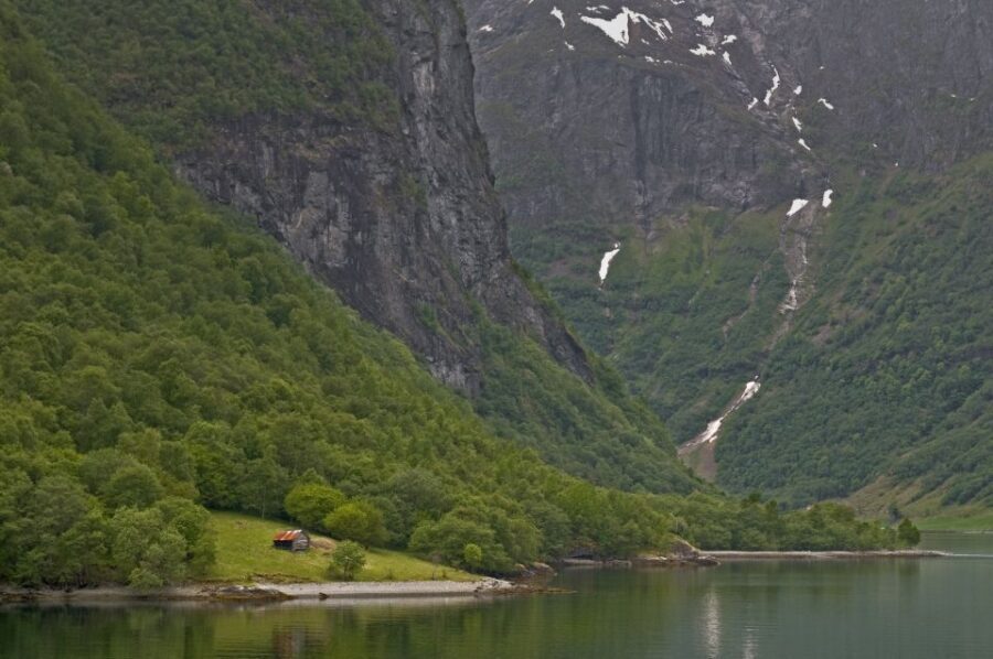 Fjords: Private Trip with Train and Cruise Ride - Transportation and Comfort