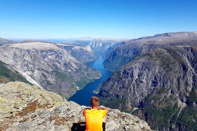 Flåm Tour: Borgund Stave Church, Lærdal & Stegastein - Who Should Consider This Tour?