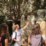 Flamenco for a Day: Guided tour of Seville, workshop and tasting - Practical Aspects