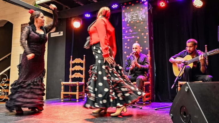 Flamenco Show at La Guarida del Angel with Drink - The Drinks and Food