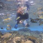 Flamingo Beach: Guided SUP and Snorkeling experience - The Itinerary Breakdown