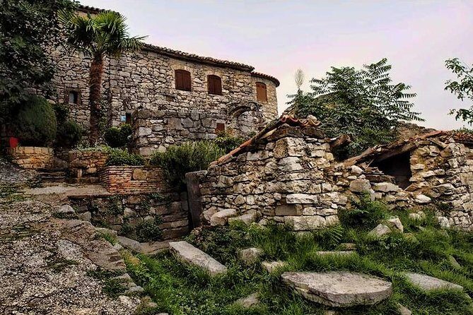 Flavours of Istria Tasting Experience from Koper - Value for Money and Practicalities