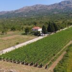 Flavours of Konavle: Wine, Food & Village Life Experience - Final Thoughts