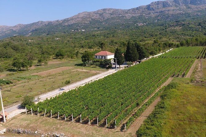 Flavours of Konavle: Wine, Food & Village Life Experience - Final Thoughts