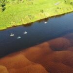 Floating Sauna with Barbecue and Swimming Experience in Finland - What’s Included and What to Keep in Mind