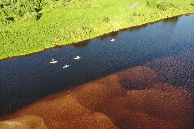 Floating Sauna with Barbecue and Swimming Experience in Finland - What’s Included and What to Keep in Mind
