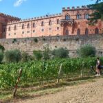 Florence: 3-Day E-Bike Tour in Tuscany & Via Francigena - Who Is This Tour Best For?