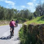 Florence by E-Bike: Hidden Hills & Local Thrills - The Bikes and the Group