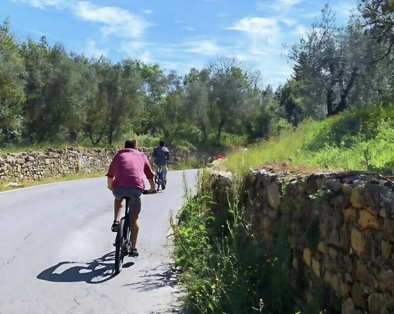 Florence by E-Bike: Hidden Hills & Local Thrills - The Bikes and the Group