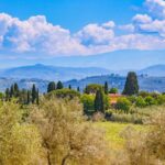 Florence: Chianti E-Bike Tour with Lunch & Two Wine Tastings - The Guides and Group Dynamics