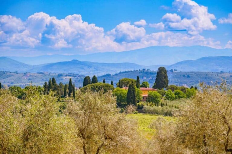 Florence: Chianti E-Bike Tour with Lunch & Two Wine Tastings - The Guides and Group Dynamics