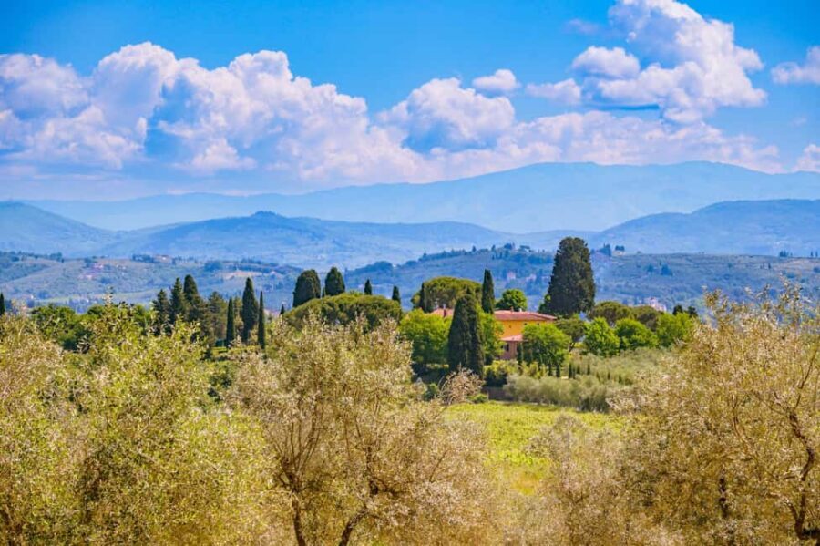 Florence: Chianti E-Bike Tour with Lunch & Two Wine Tastings - The Guides and Group Dynamics