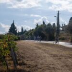 Florence: Chianti E-Bike Tour with Tuscan Lunch & Winery - The Real Experience: What Travelers Say