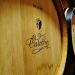 Florence: Chianti Montespertoli Wine Tour with Lunch - Florence: Chianti Montespertoli Wine Tour with Lunch — An Honest Look
