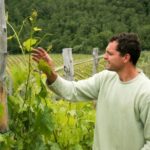 Florence: Chianti Villages, San Gimignano and Winery Tour - How This Tour Fits Different Travelers