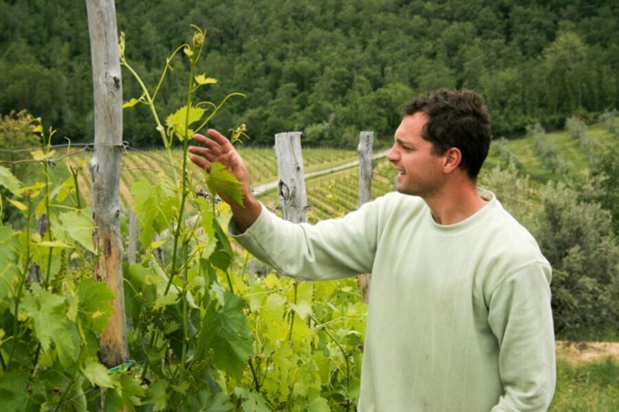 Florence: Chianti Villages, San Gimignano and Winery Tour - How This Tour Fits Different Travelers