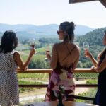 Florence: Chianti Wine Tour with 3 Wineries & Tuscan Lunch - The Itinerary Breakdown: What to Expect from Start to Finish