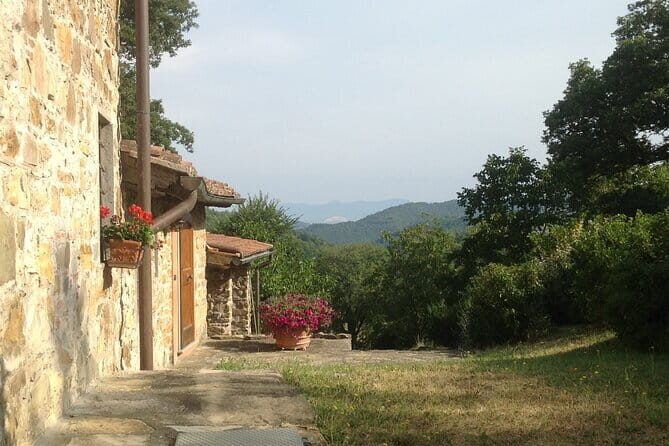 Florence Cooking Class in a Gorgeous Countryside Home with Maria - The Reviews Say It All