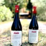 Florence: Countryside Tour with Wine Tasting & Pasta Class - Who Will Love This Tour?