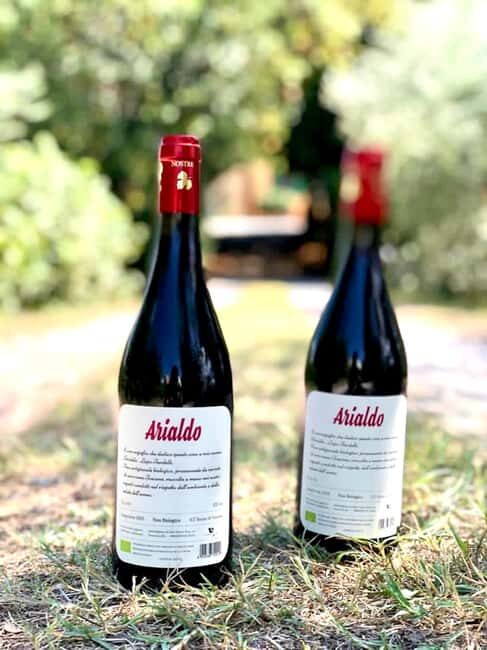 Florence: Countryside Tour with Wine Tasting & Pasta Class - Who Will Love This Tour?