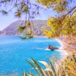 Florence: Full day Tour to Cinque Terre and Pisa - Transportation and Logistics