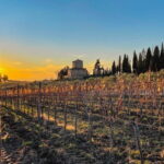 Florence: Hiking Tuscany & Chianti wine 3 wineries and lunch - What Makes This Tour Stand Out