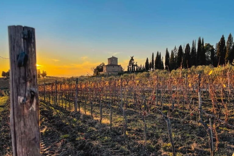 Florence: Hiking Tuscany & Chianti wine 3 wineries and lunch - What Makes This Tour Stand Out