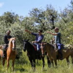 Florence: Horseback Ride with Italian Aperitivo - The Logistics and Group Dynamics