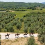 Florence: Horseback Riding Tour with Wine Tasting & Transfer - Why This Tour Might Be the Right Fit