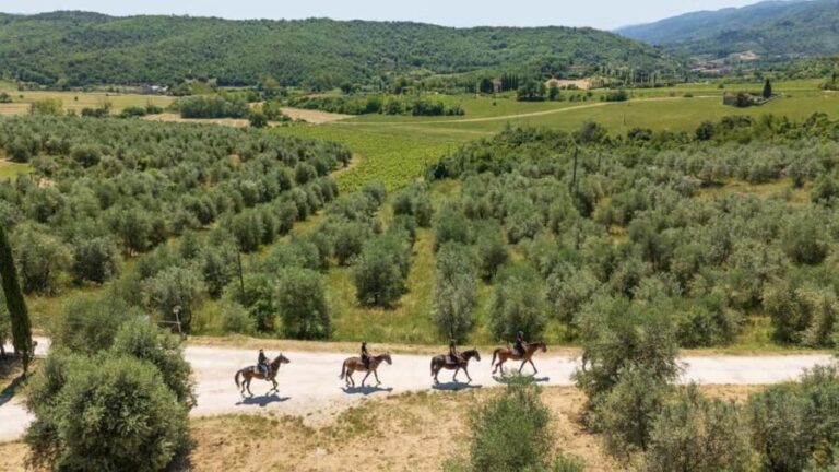 Florence: Horseback Riding Tour with Wine Tasting & Transfer - Why This Tour Might Be the Right Fit
