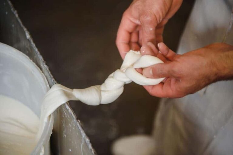 Florence: Mozzarella Making Workshop with Wine Tasting - Key Points