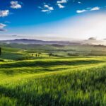 Florence: Private Val d'Orcia with Brunello wines and Lunch - Final Thoughts