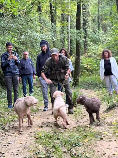 Florence: Truffle Hunt, San Gimignano, and Chianti Day Trip - Final Thoughts