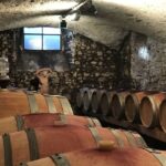 Florence: Tuscany Chianti Winery Private Day-Trip with Lunch - What We Like About This Tour