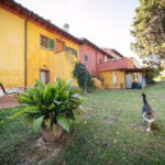 Florence: Wine Tasting at a Vineyard With a Local Winemaker - Analyzing the Value