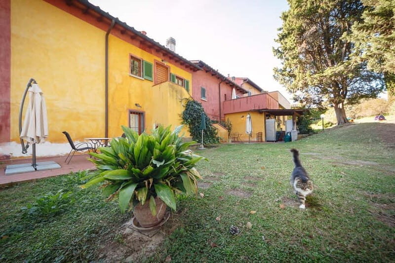 Florence: Wine Tasting at a Vineyard With a Local Winemaker - Analyzing the Value