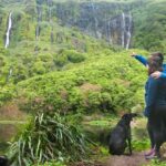 Flores Island: Full-Day Guided Tour - What’s Included and What’s Not