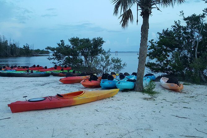 Florida Bioluminescence Kayaking Tour (Titusville) - Final Thoughts