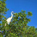 Florida Keys Kayak And Paddleboard Rentals - What You Can Expect