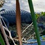 Florida Keys Nature & History Tour from Key West - Transportation & Group Size