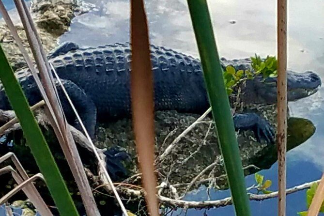 Florida Keys Nature & History Tour from Key West - Transportation & Group Size
