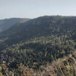 Flumserberg: Guided highlights hikes - What Makes This Tour Stand Out