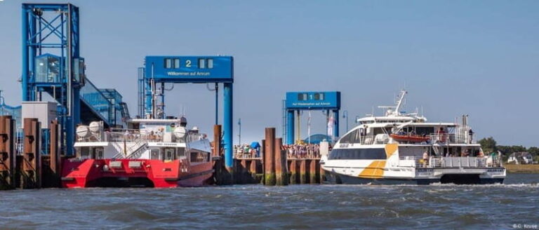 Föhr: Day trip by boat to Hallig Hooge - Practical Tips for Your Trip