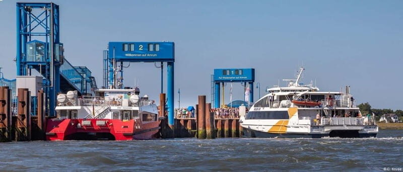 Föhr: Day trip by boat to Hallig Hooge - Practical Tips for Your Trip